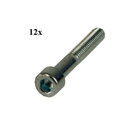 bout inbus  M6 x 45  per 12